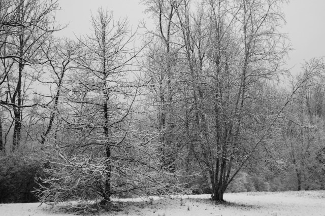 photo by Ann E. Michael