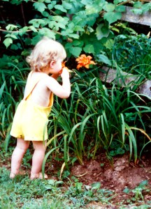 photo ann e. michael