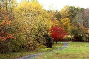 69082_1682385823790_1949308_n