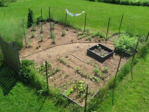 31281_1488041725309_1074892_n