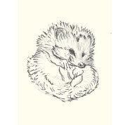 card_one_hedgehog2