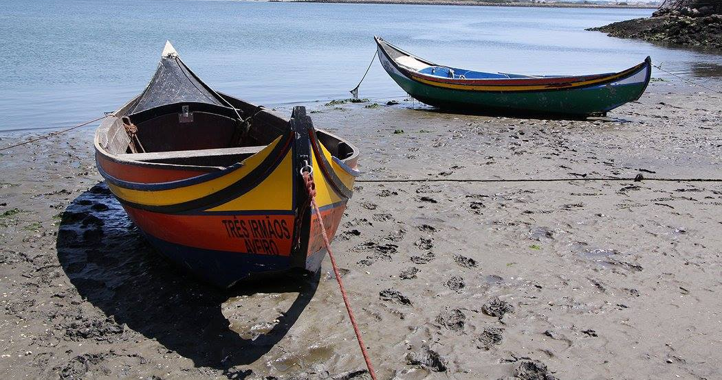 wooden fishing boats