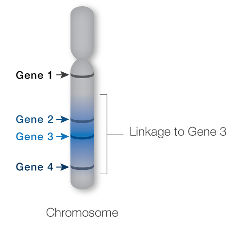 linkage-5 University of Utah
