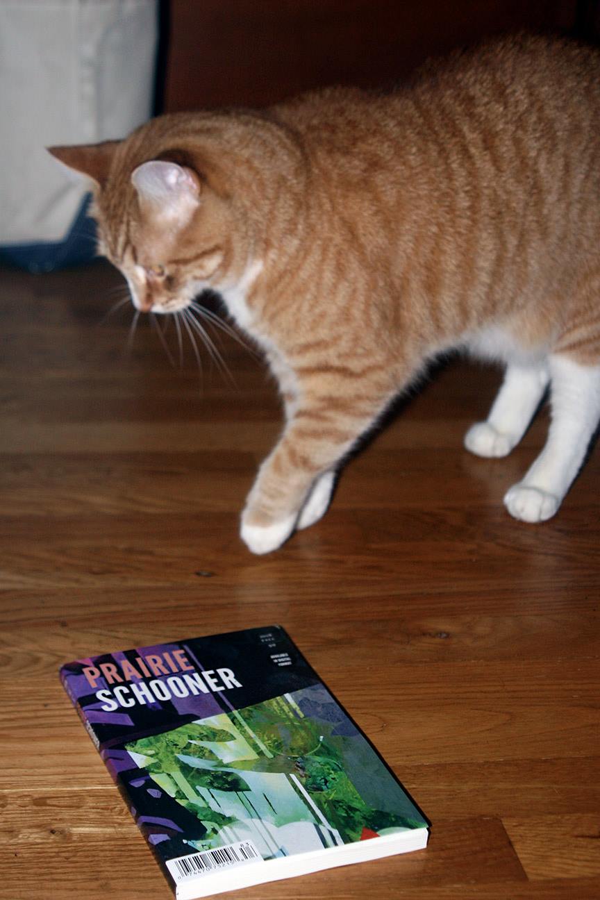 schooner&amp;scooter