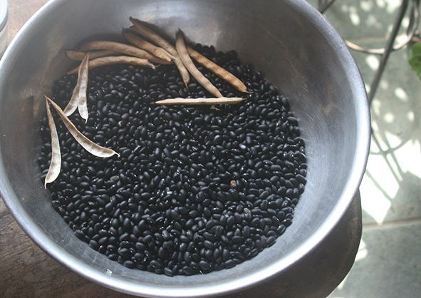 black beans in a bowl