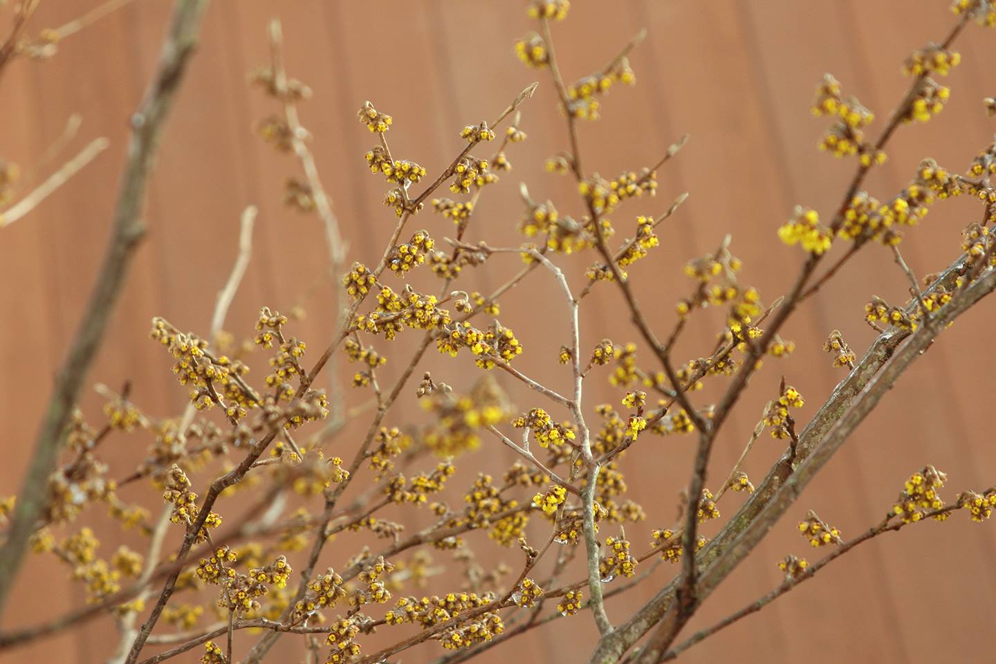 52005884_10218951450921552_3046548602315866112_o