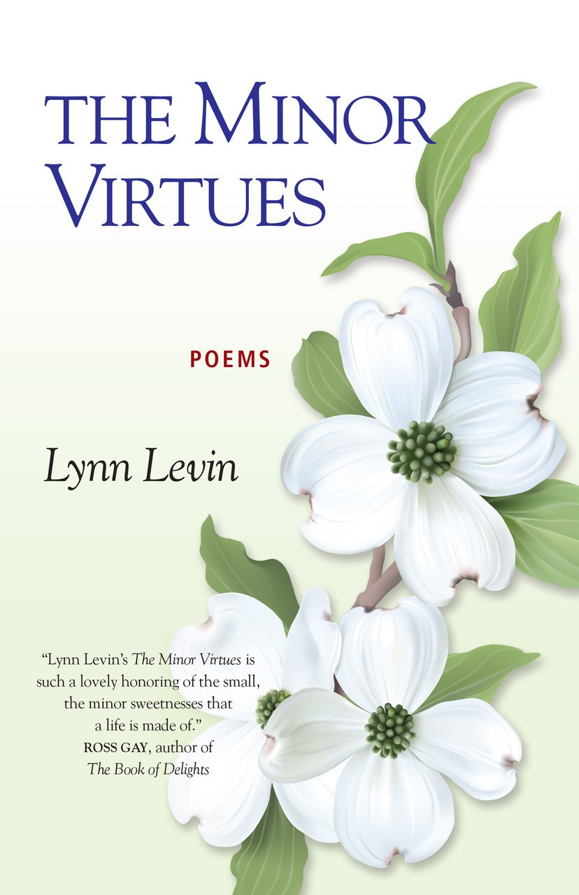 levin_tmv_cover