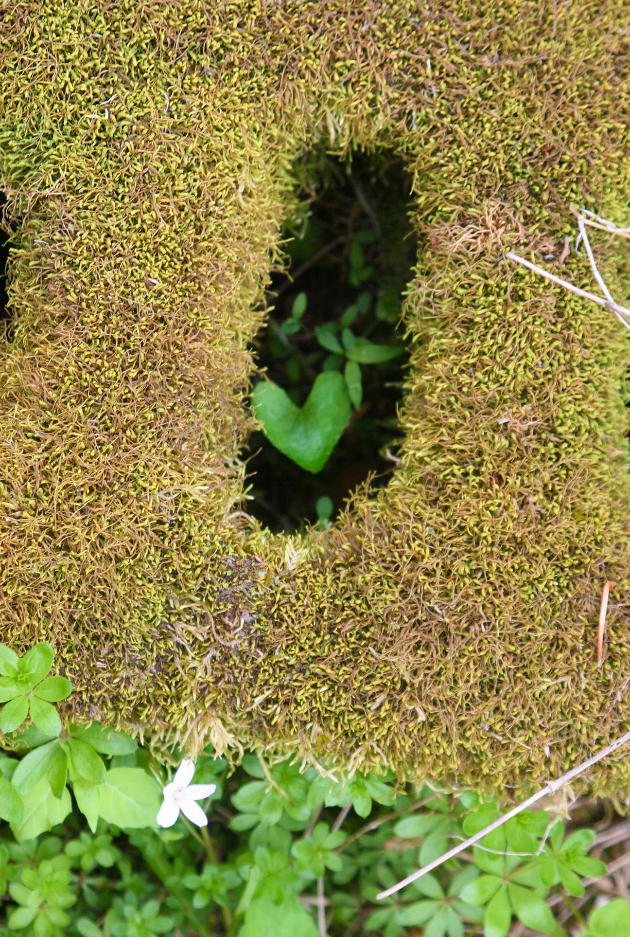 98106636_10223440949236204_1636631536210018304_o