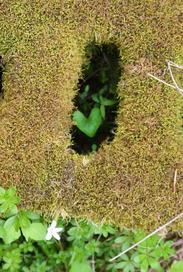 98106636_10223440949236204_1636631536210018304_o